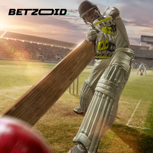 cricket-22